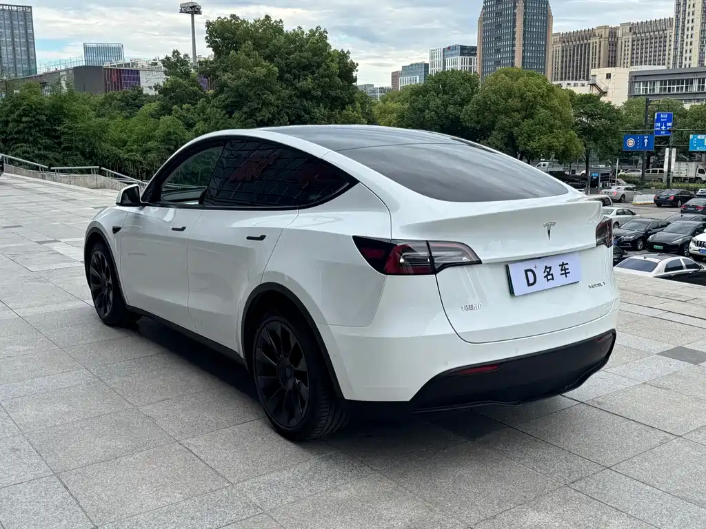 Tesla Model Y — фото 8