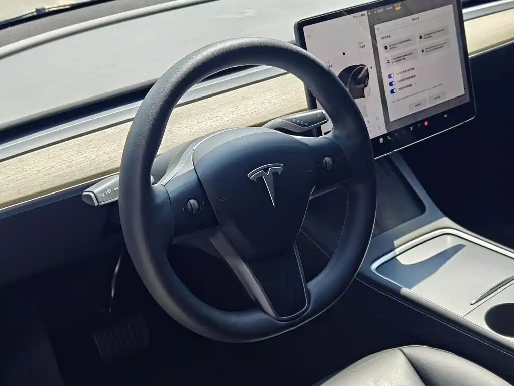Tesla Model Y — фото 9