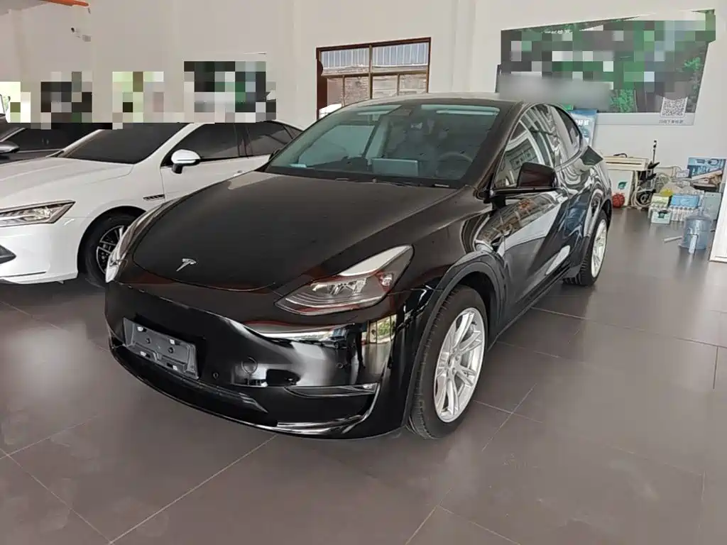 Tesla Model Y — фото 2