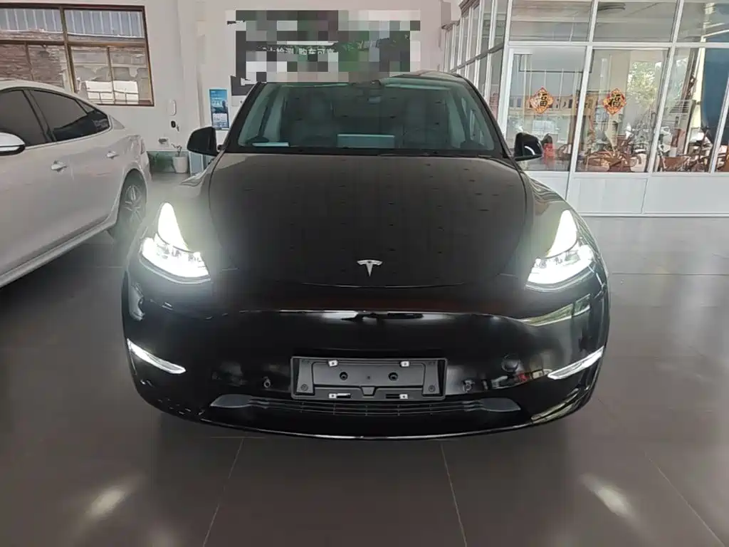 Tesla Model Y — фото 3