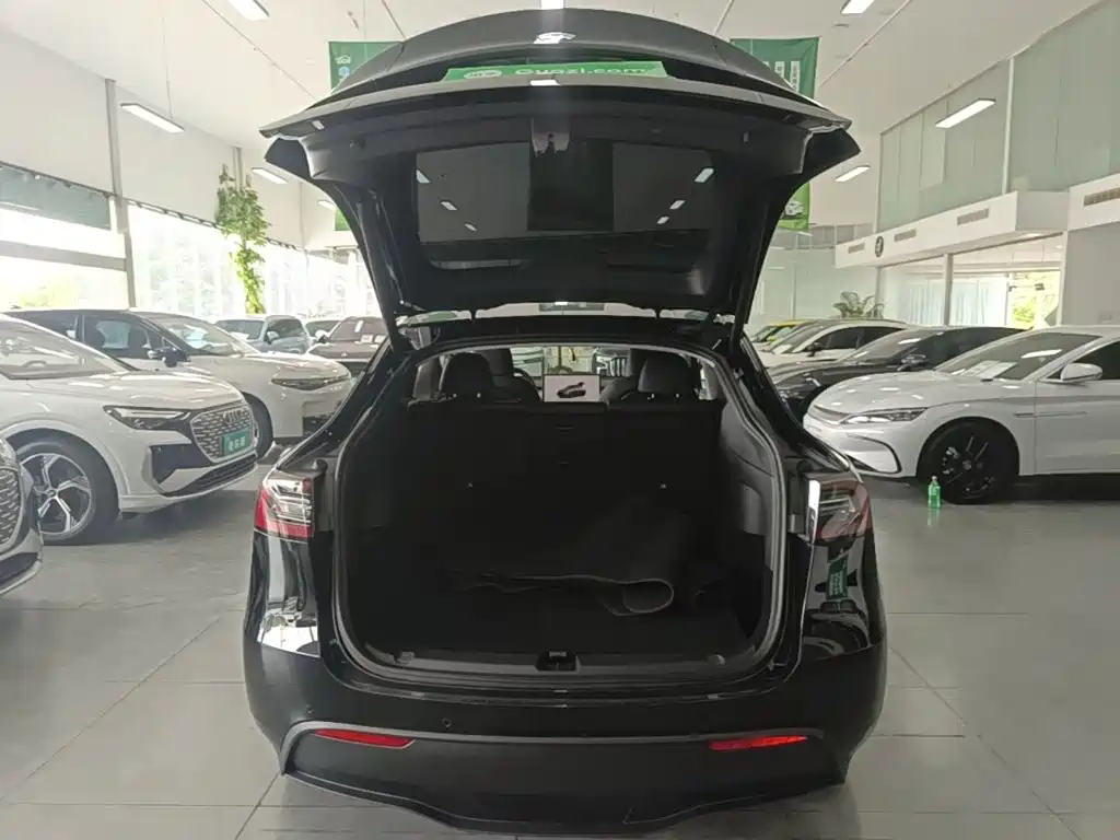 Tesla Model Y — фото 19
