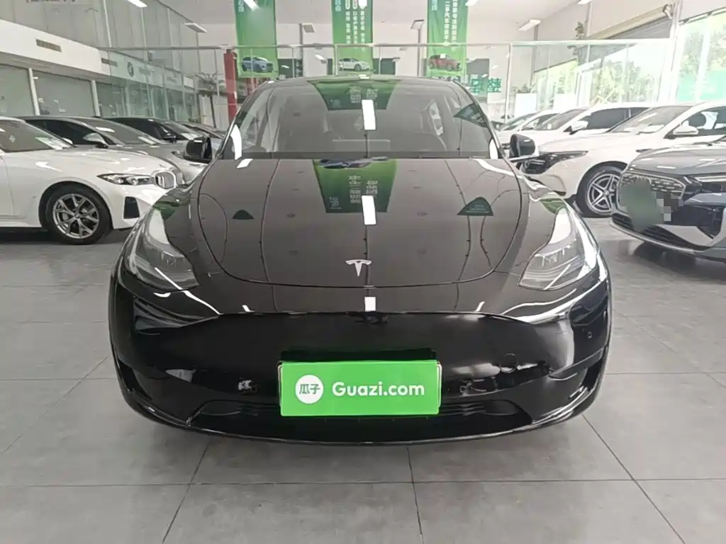 Tesla Model Y — фото 3