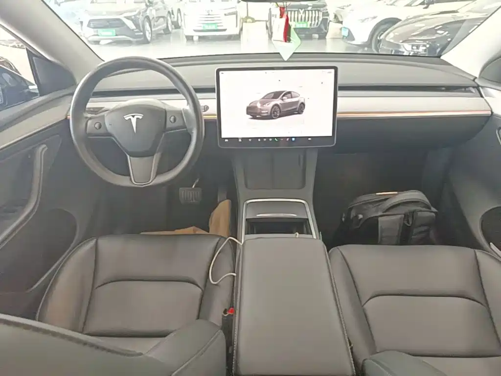 Tesla Model Y — фото 10