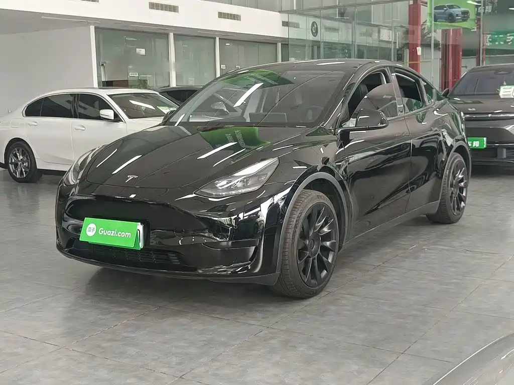 Tesla Model Y — фото 1