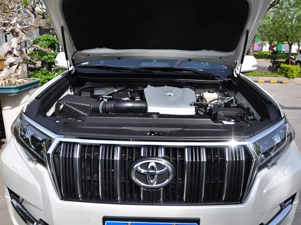 Toyota Prado — фото 11
