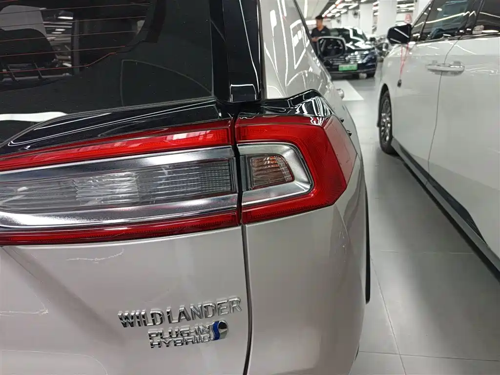Toyota Wildlander New Energy — фото 8