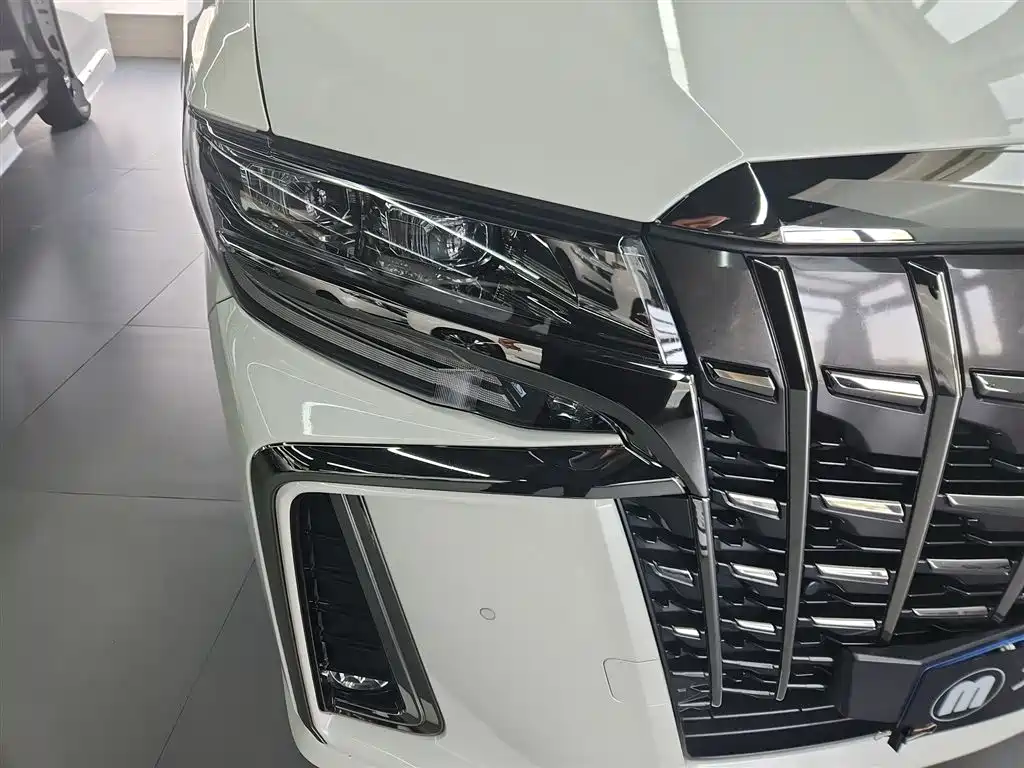 Toyota Alphard — фото 9