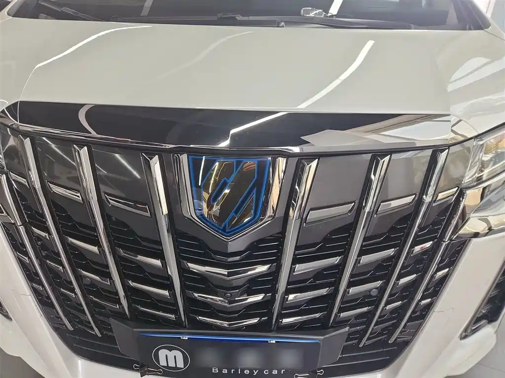 Toyota Alphard — фото 10