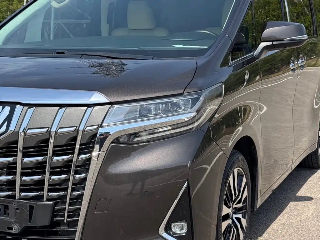 Toyota Alphard — фото 19