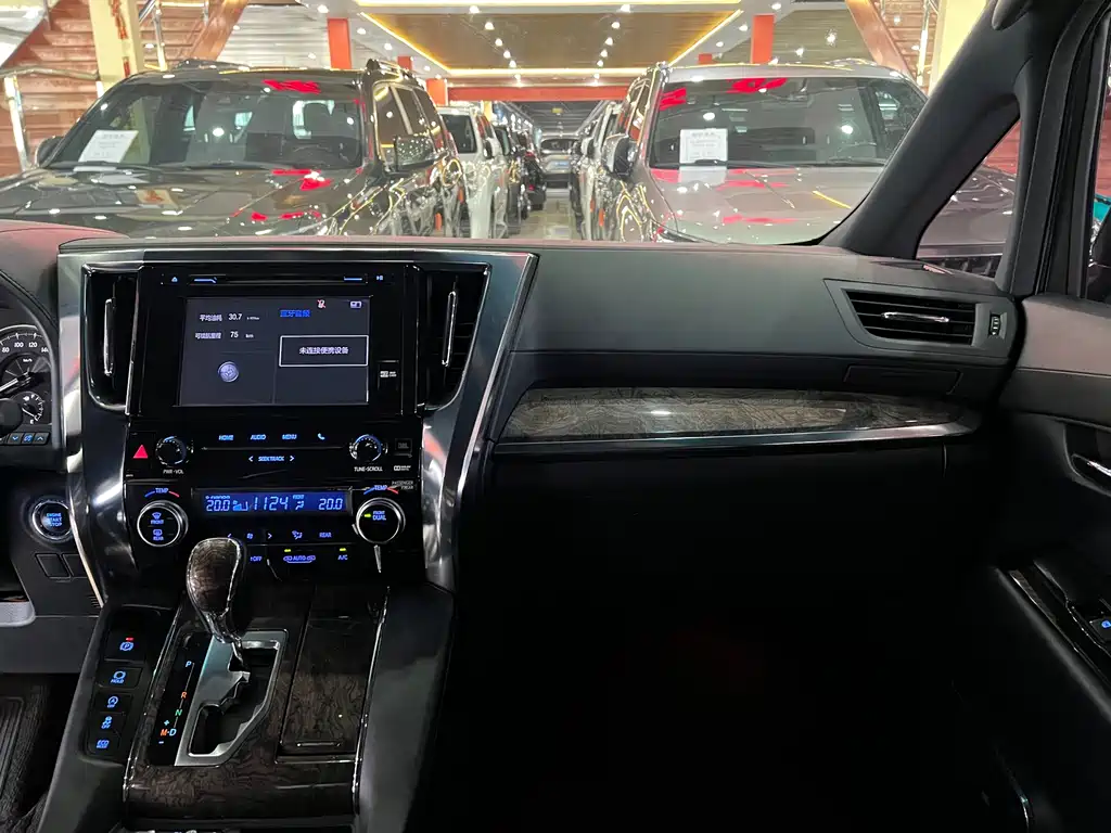Toyota Alphard — фото 9
