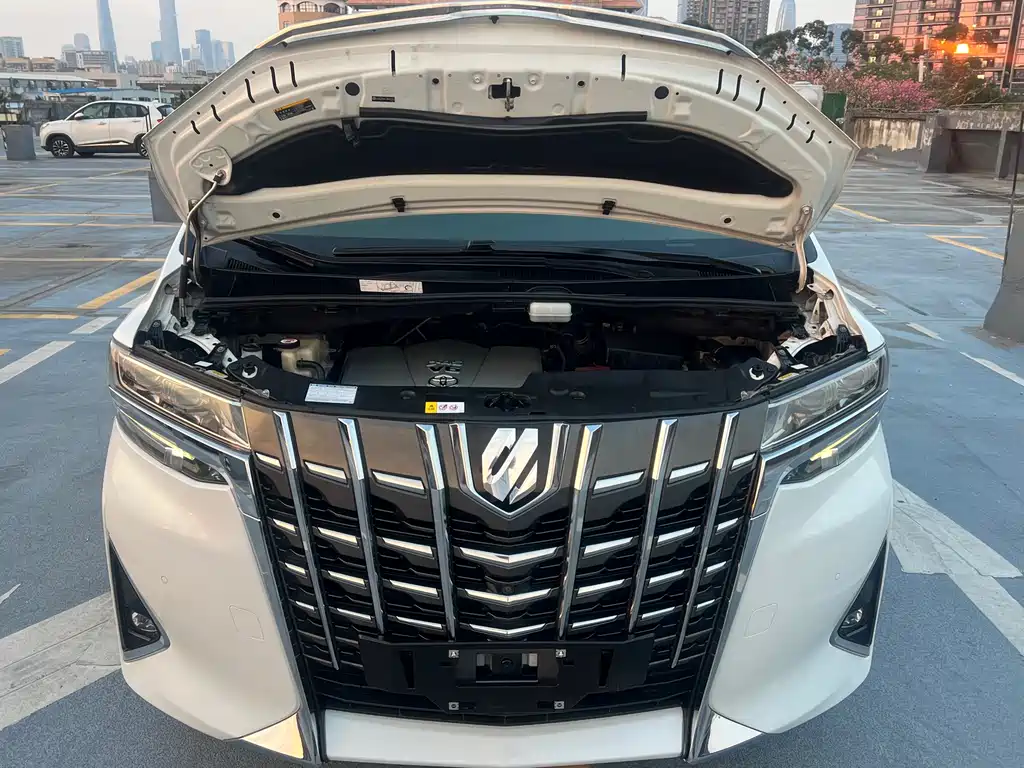 Toyota Alphard — фото 18