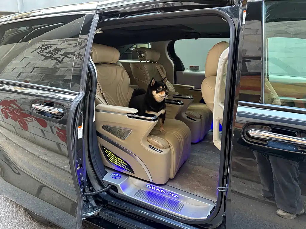 Toyota Granvia — фото 9