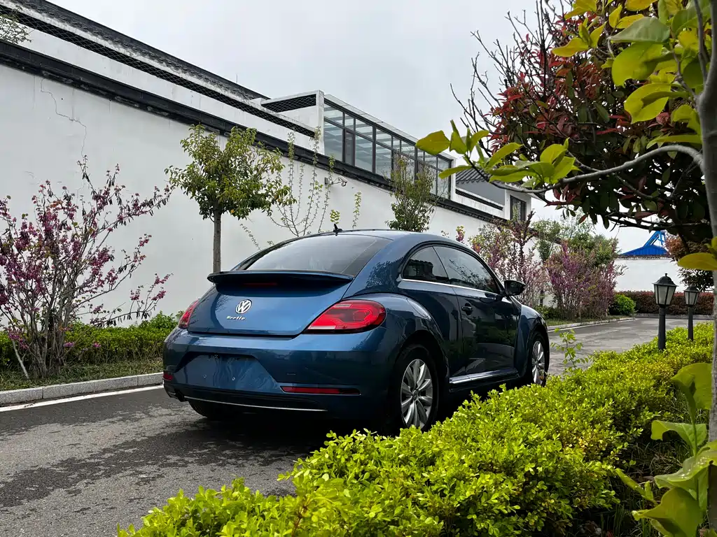 Volkswagen Beetle — фото 5