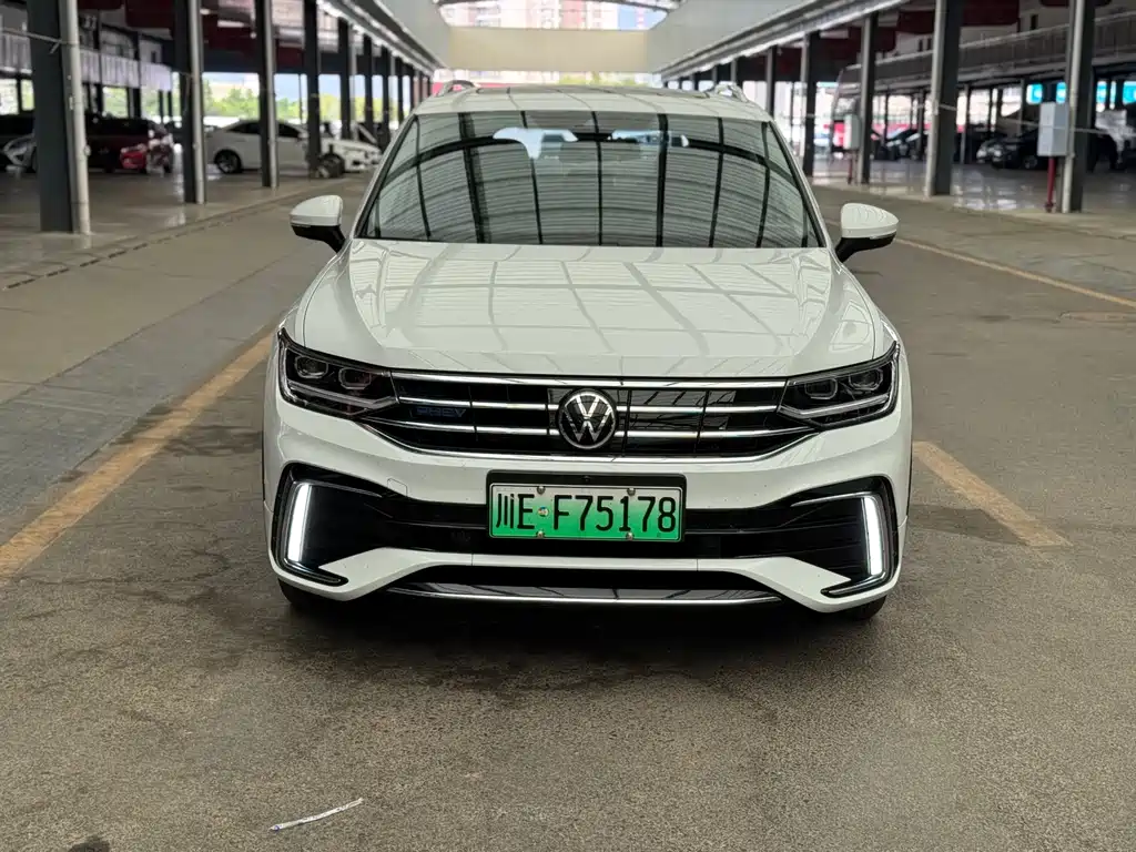 Volkswagen Tiguan L New Energy — фото 2