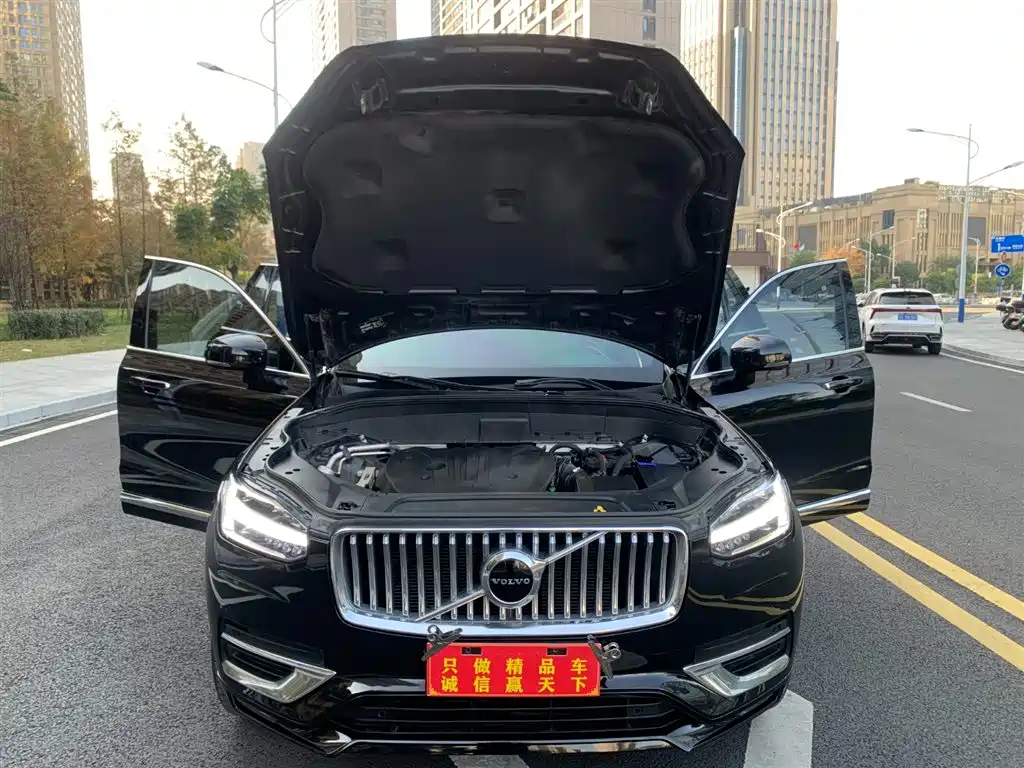 Volvo XC90 — фото 17