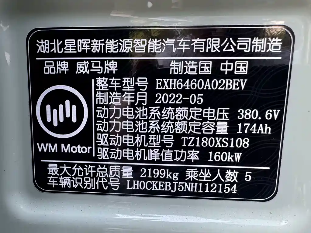 WM Motor W6 — фото 20