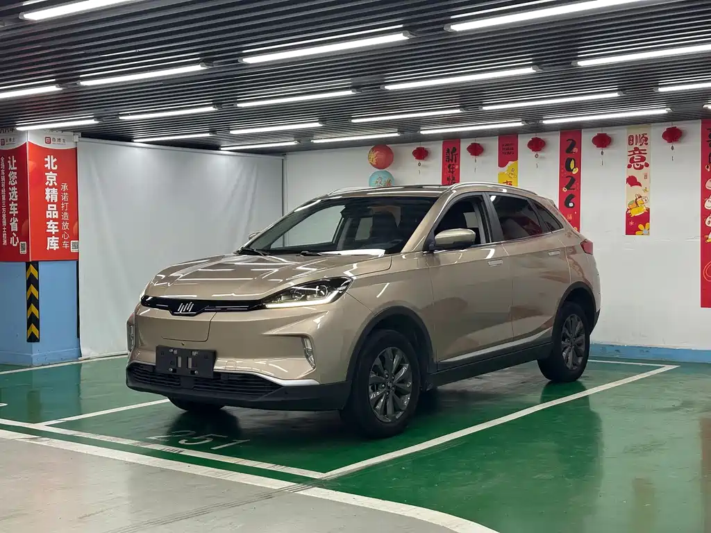 WM Motor EX5