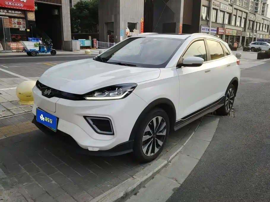 WM Motor EX5