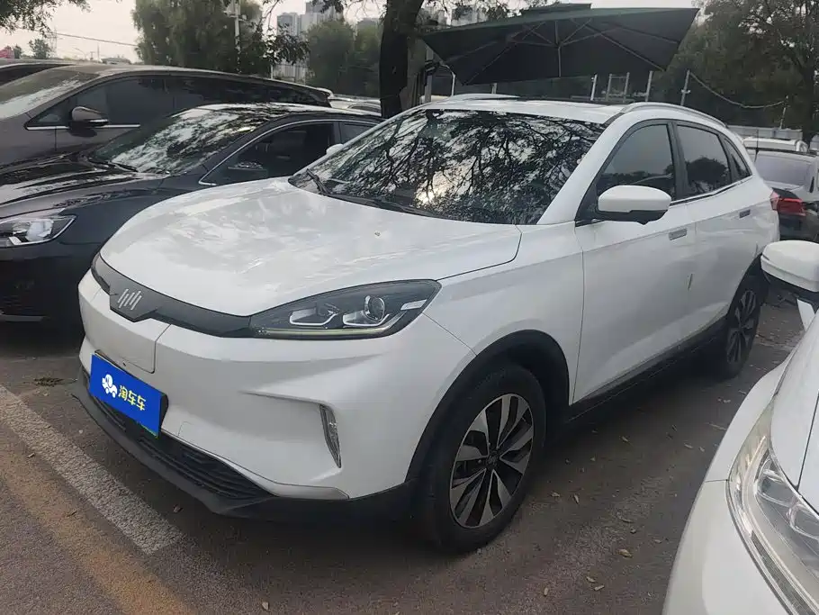 WM Motor EX5