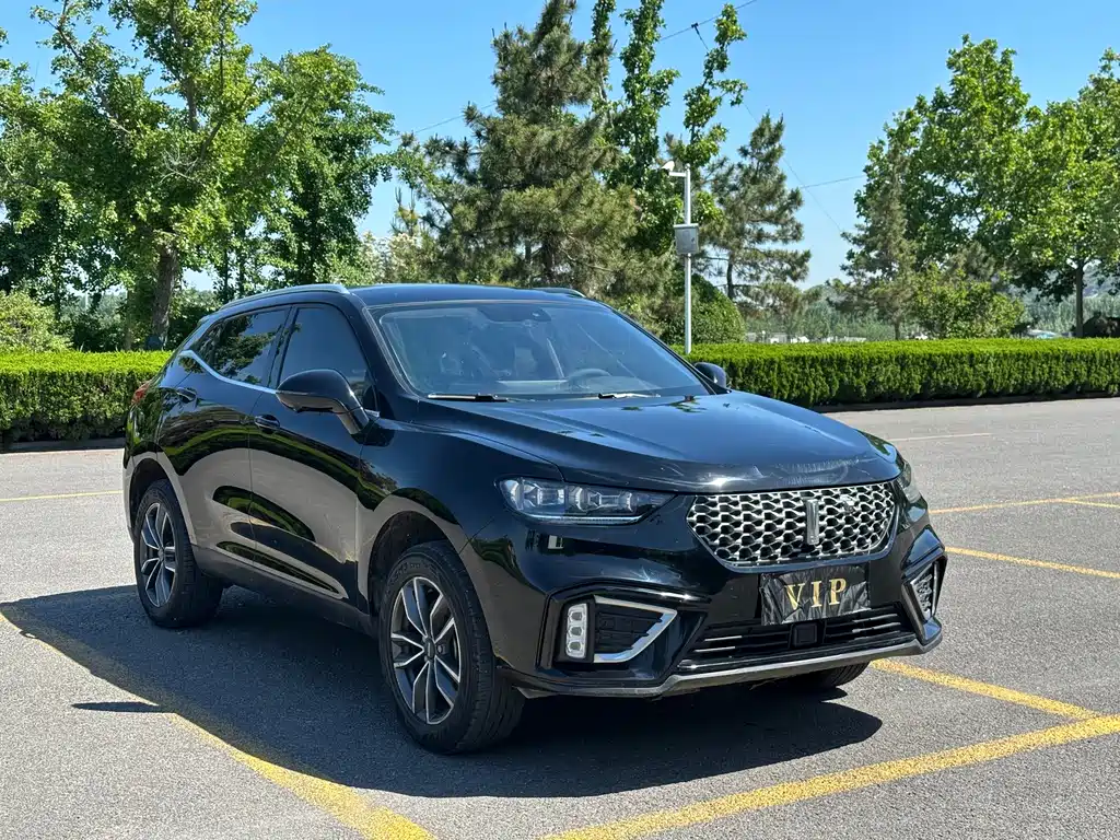 Wey Wey VV5