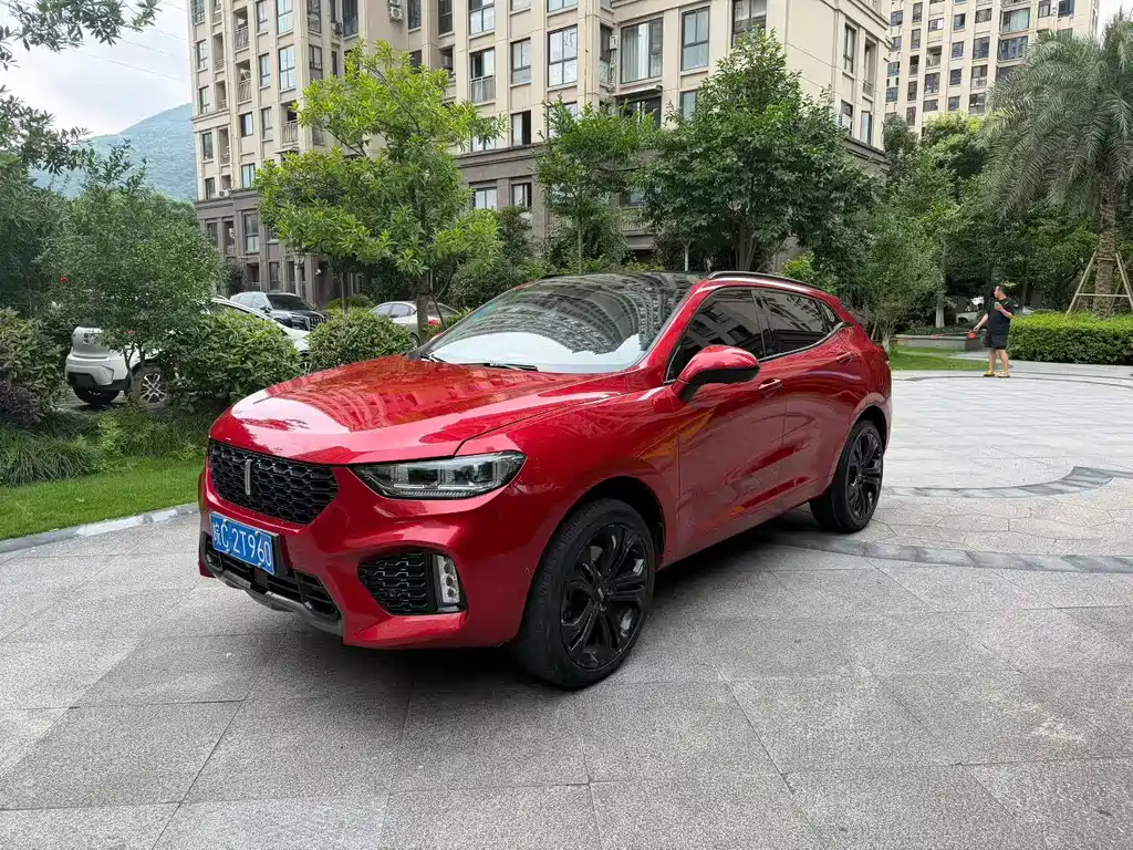 Wey Wey VV5