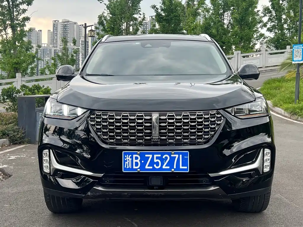 Wey Wey VV6 — фото 2