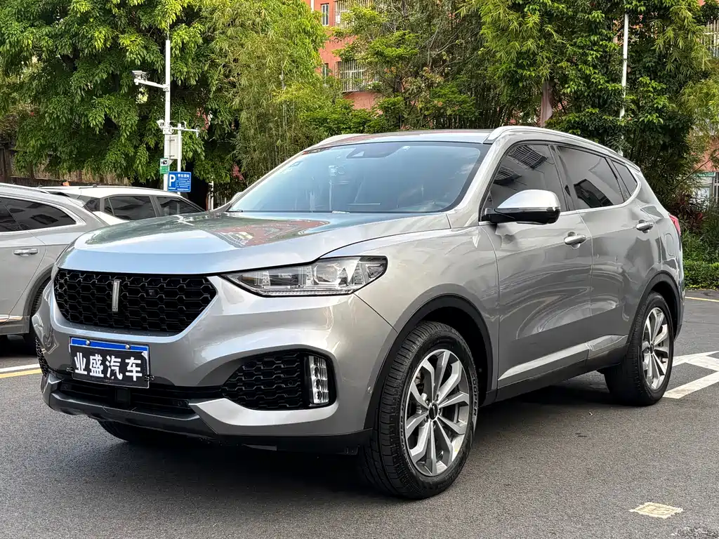 Wey Wey VV6