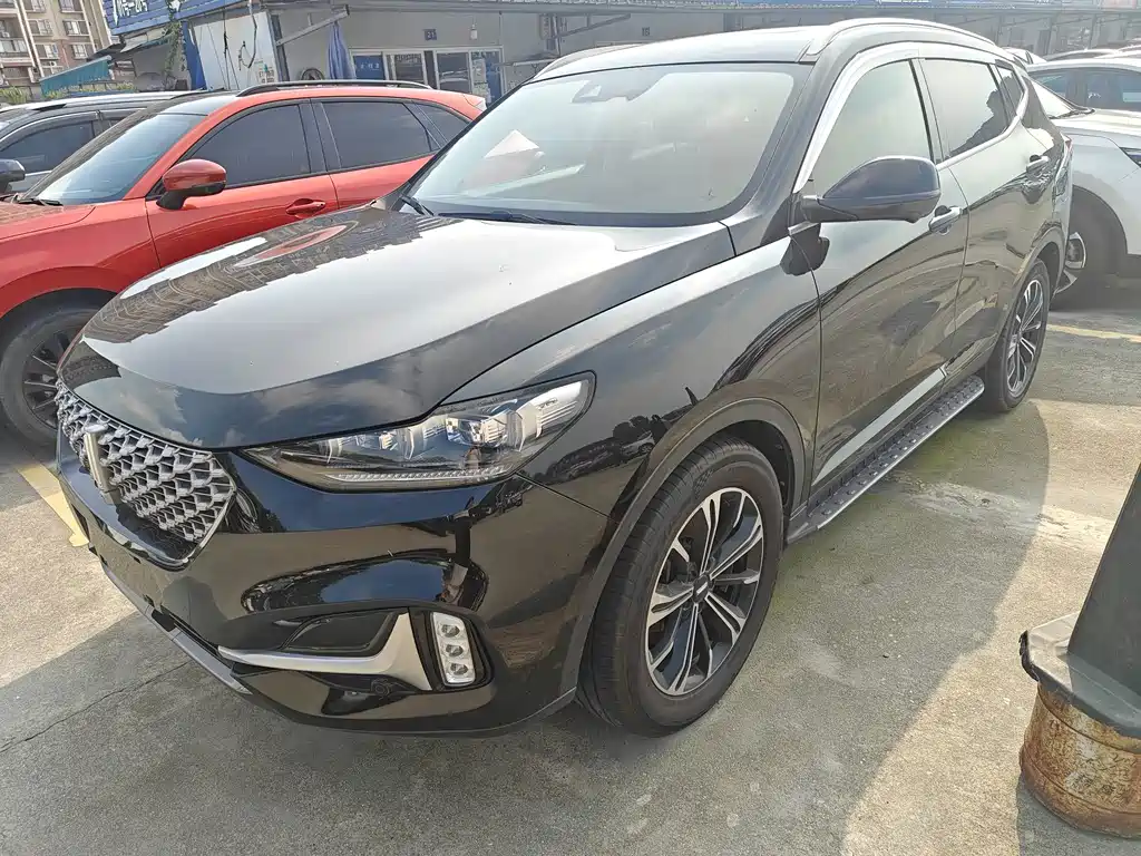 Wey Wey VV6