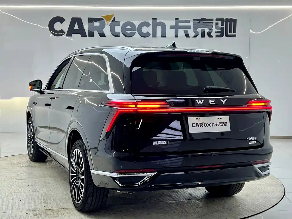 Wey Wey Lanshan — фото 6