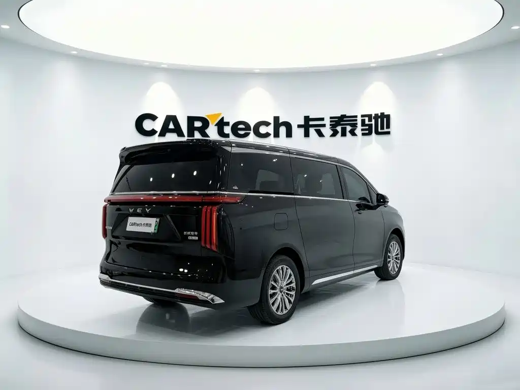 Wey Wey Gaoshan New Energy — фото 3