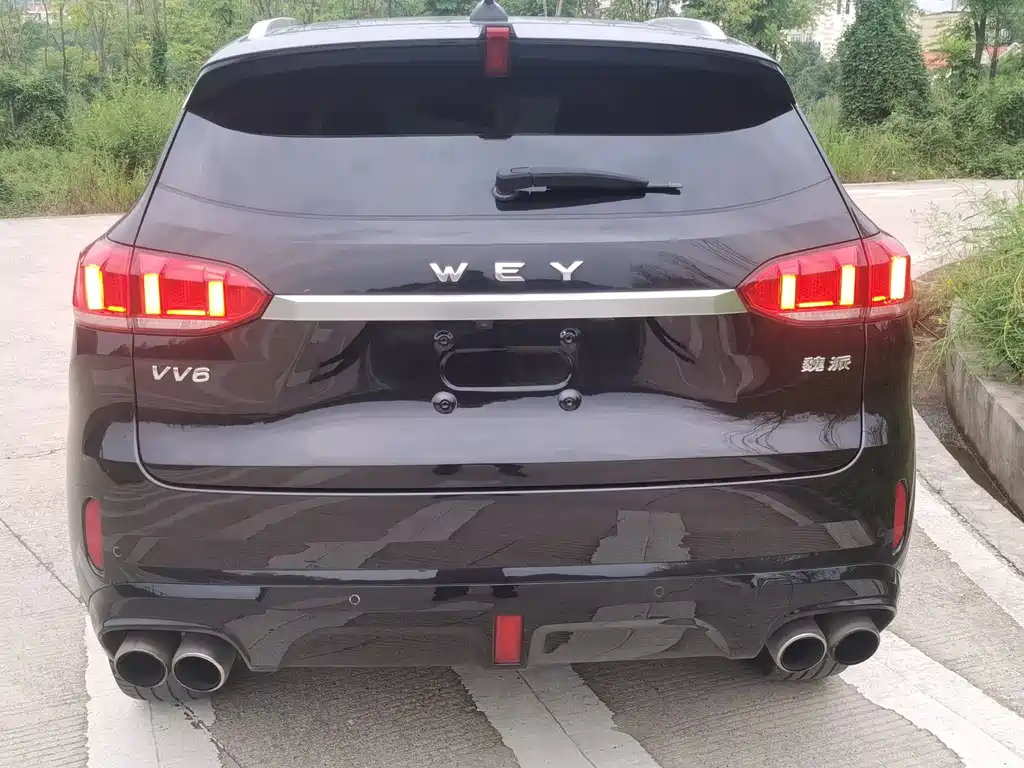 Wey Wey VV6 — фото 6