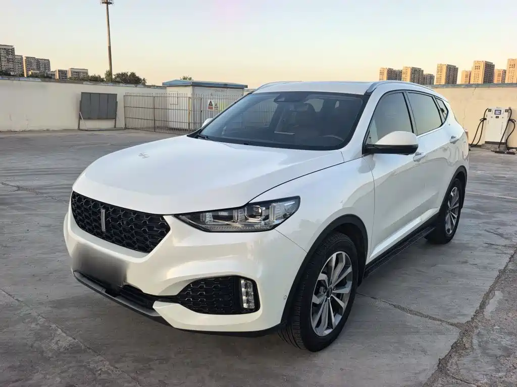 Wey Wey VV6