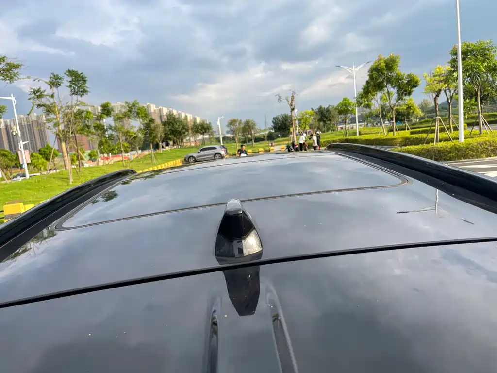 Wey Wey P8 — фото 34