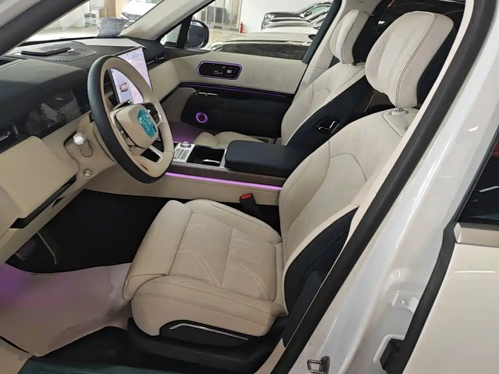 Zeekr 9X — фото 15