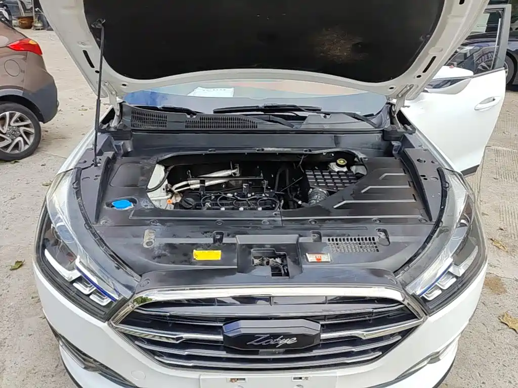 Zotye Zotye T300 — фото 20
