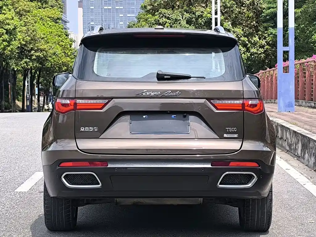 Zotye Zotye T800 — фото 6
