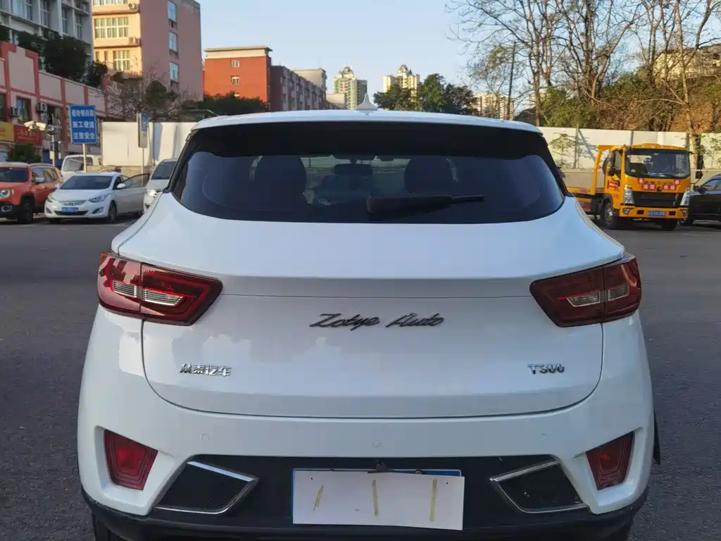 Zotye Zotye T300 — фото 5