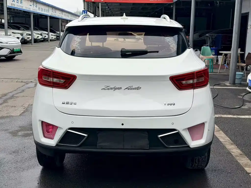 Zotye Zotye T300 — фото 19