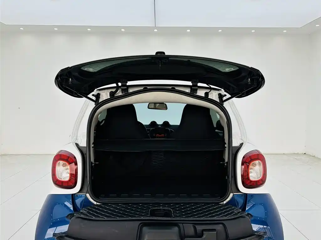 smart Smart Fortwo — фото 20