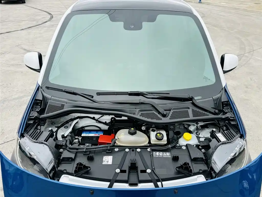 smart Smart Fortwo — фото 21