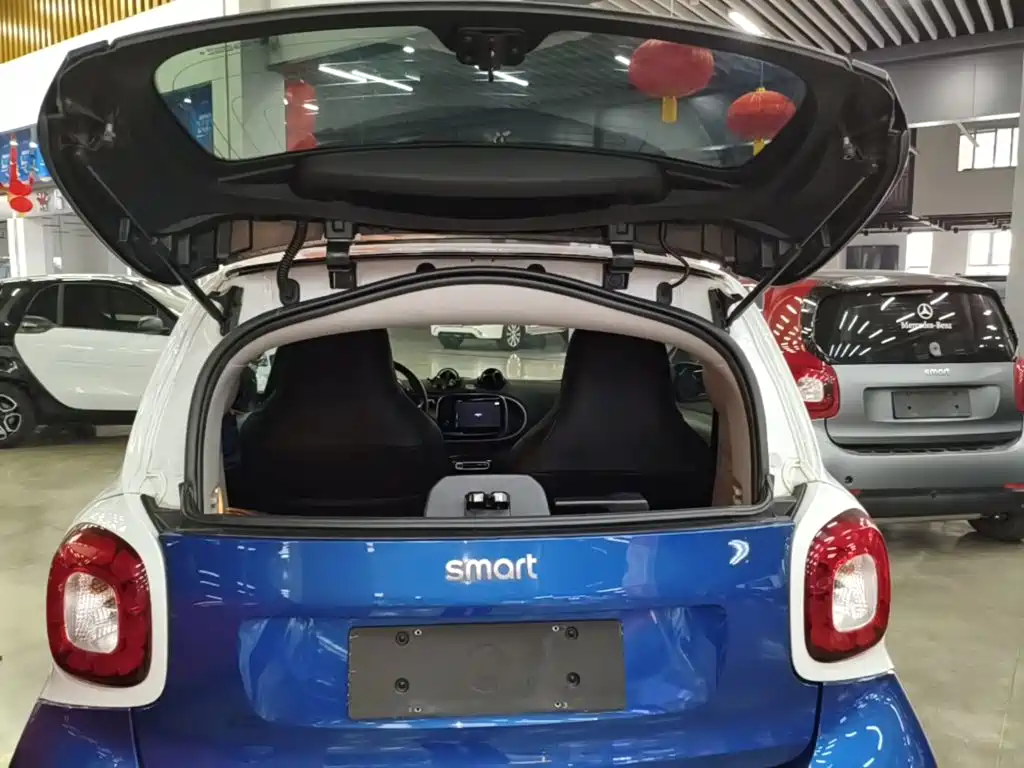 smart Smart Fortwo — фото 19