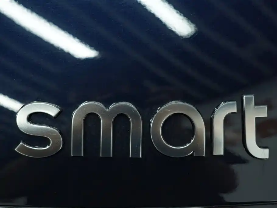 smart Smart #1 — фото 10