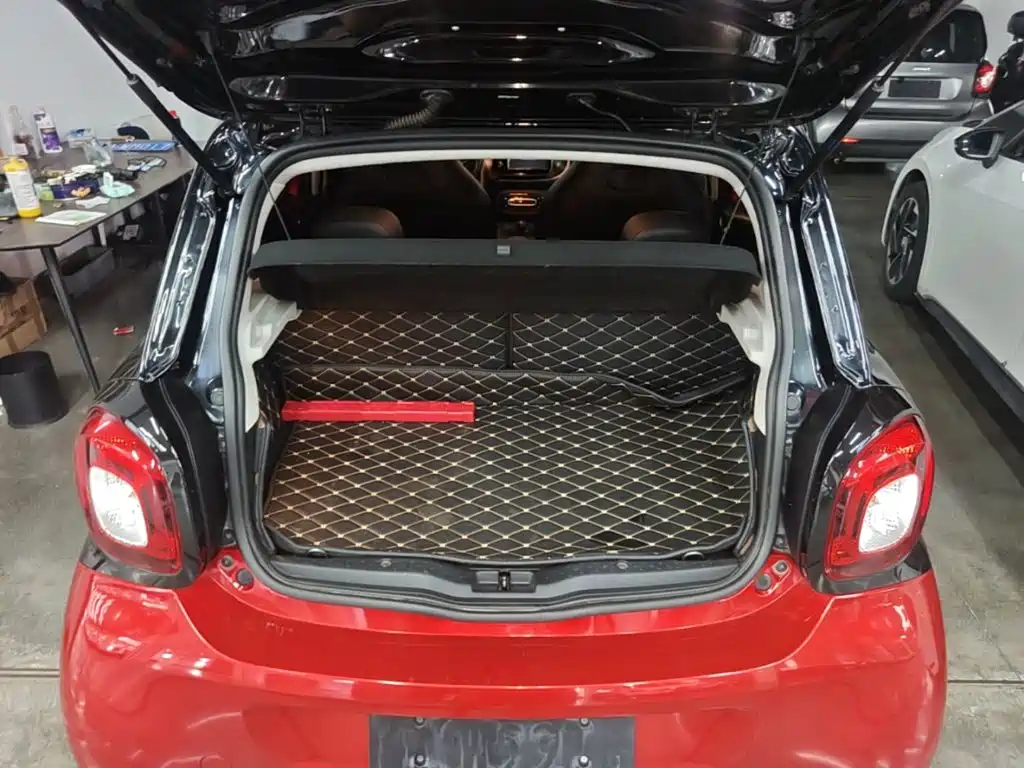 smart Smart Forfour — фото 19