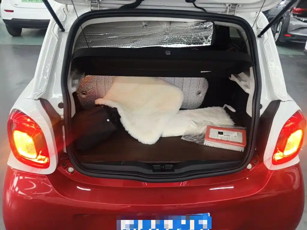 smart Smart Forfour — фото 19