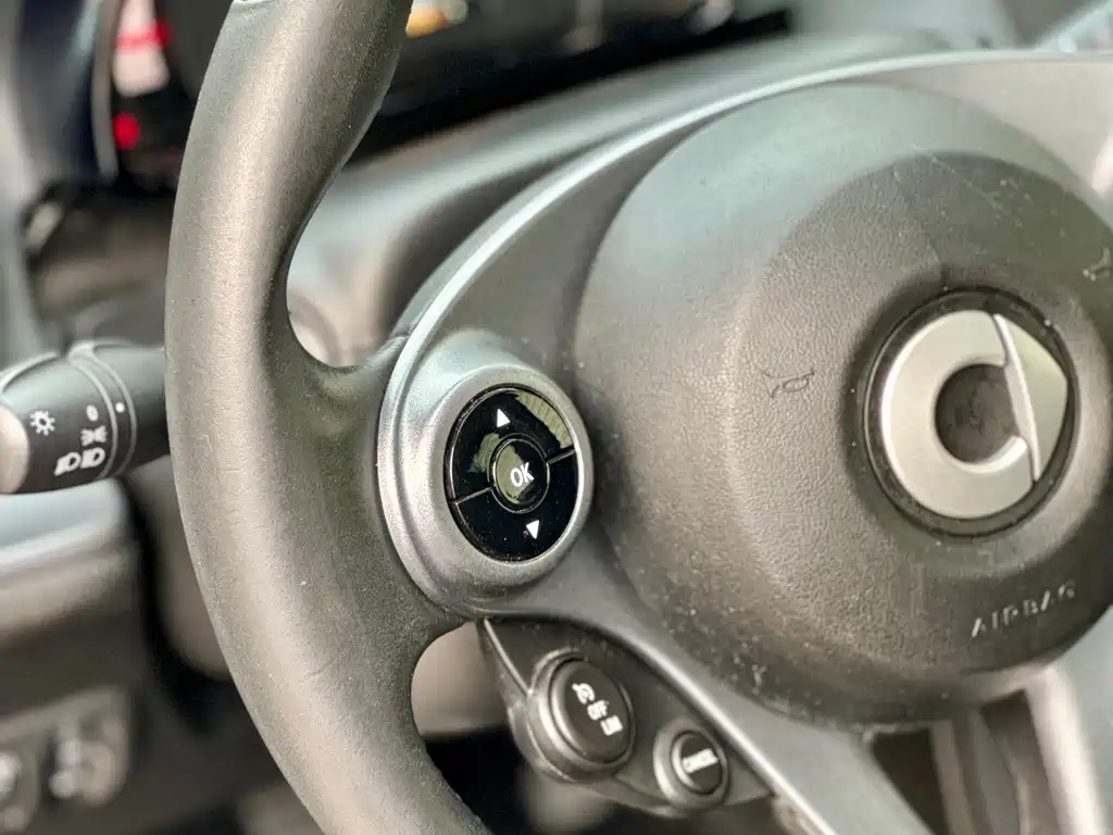 smart Smart Forfour — фото 26