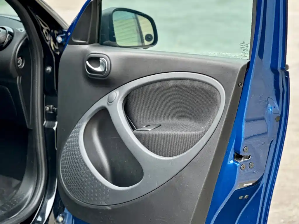 smart Smart Forfour — фото 41