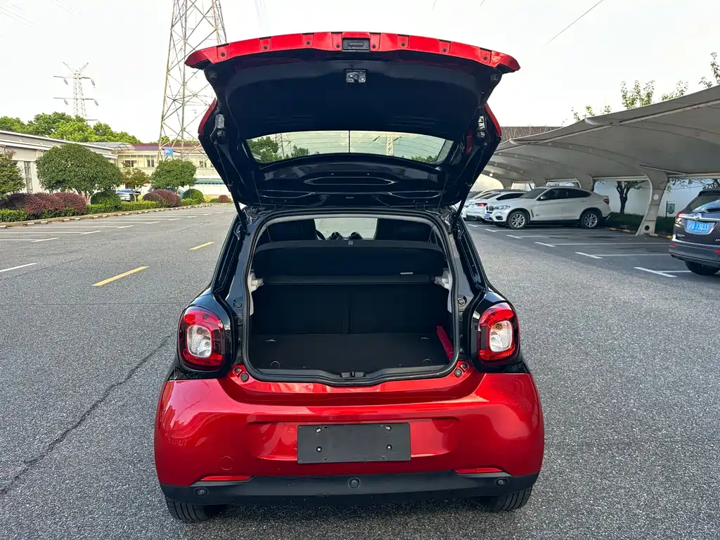 smart Smart Forfour — фото 33