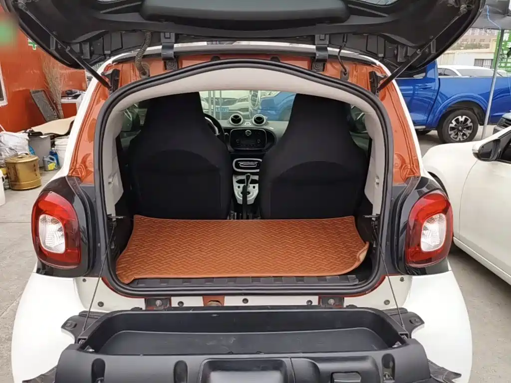 smart Smart Fortwo — фото 19