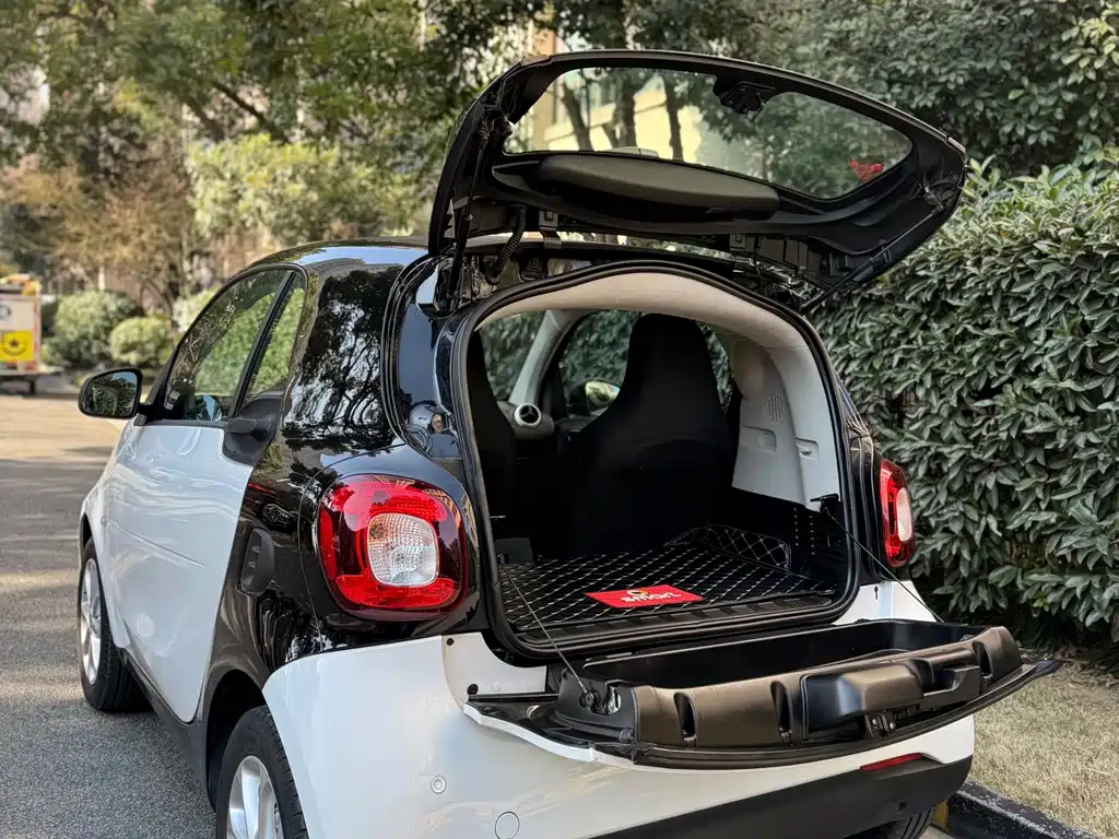 smart Smart Fortwo — фото 10