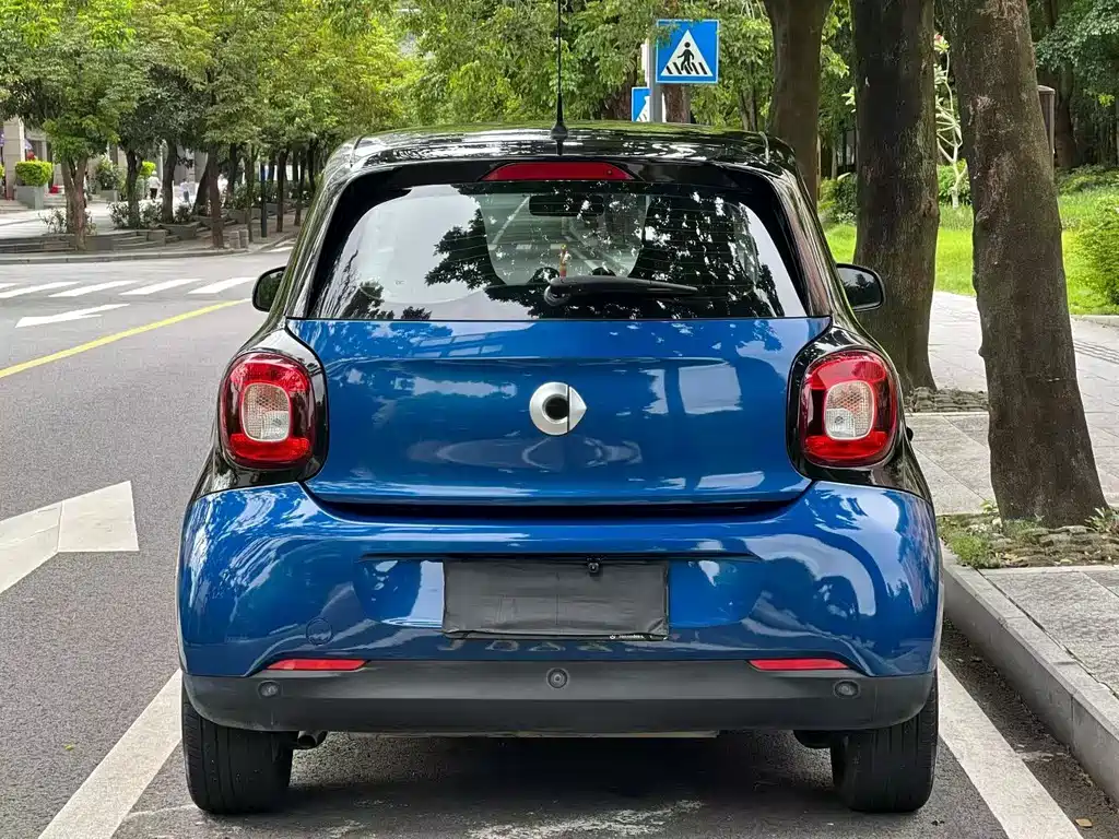 smart Smart Forfour — фото 9